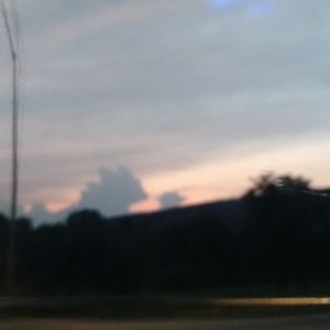 Meet your Posher, Barbara